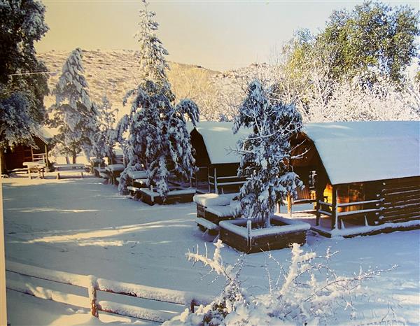 Paisaje invernal de La Rumorosa, Tecate, con cabañas y árboles cubiertos de nieve